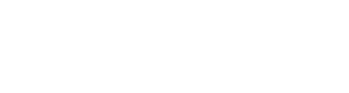 bidegain-logo_700_b